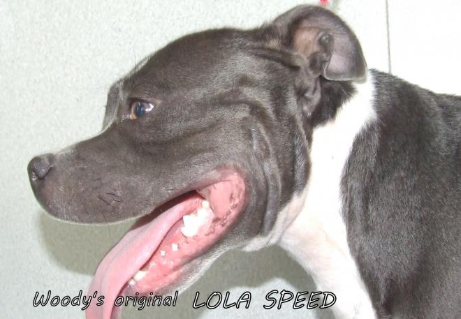 Woody's Original Lola speed